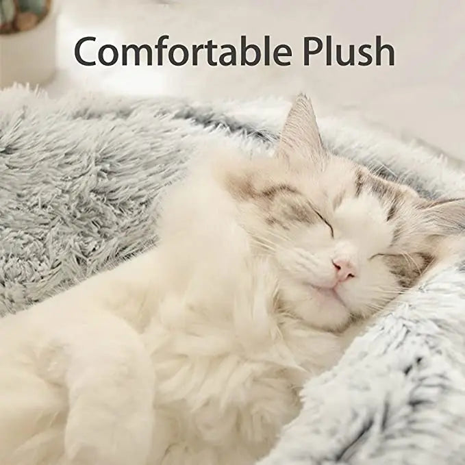 Plush Cat Cushion